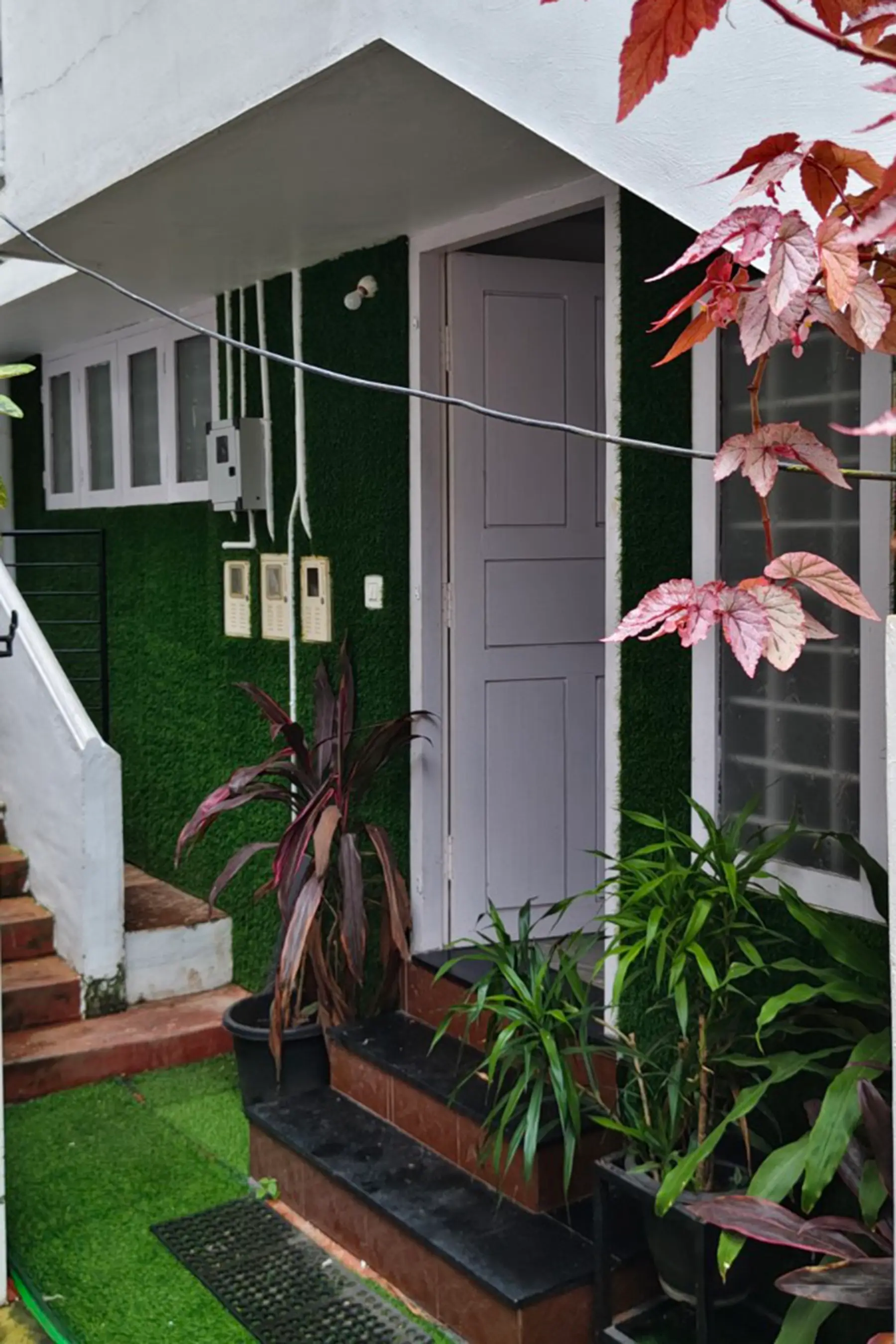 Garden path and peaceful exterior of Misty Garden Homestay in Fort Kochi